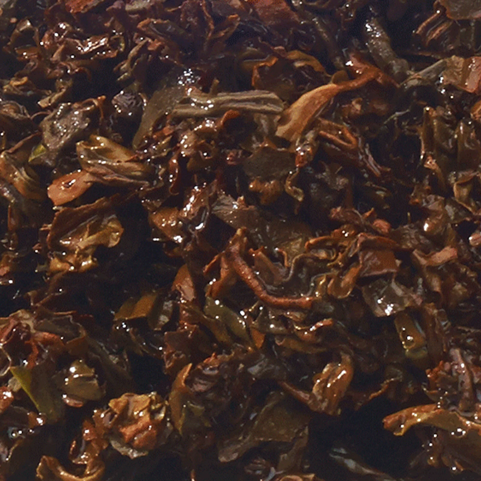 2nd Flush Assam GBOP1 - 125g Loose Leaf Tea - Image 7