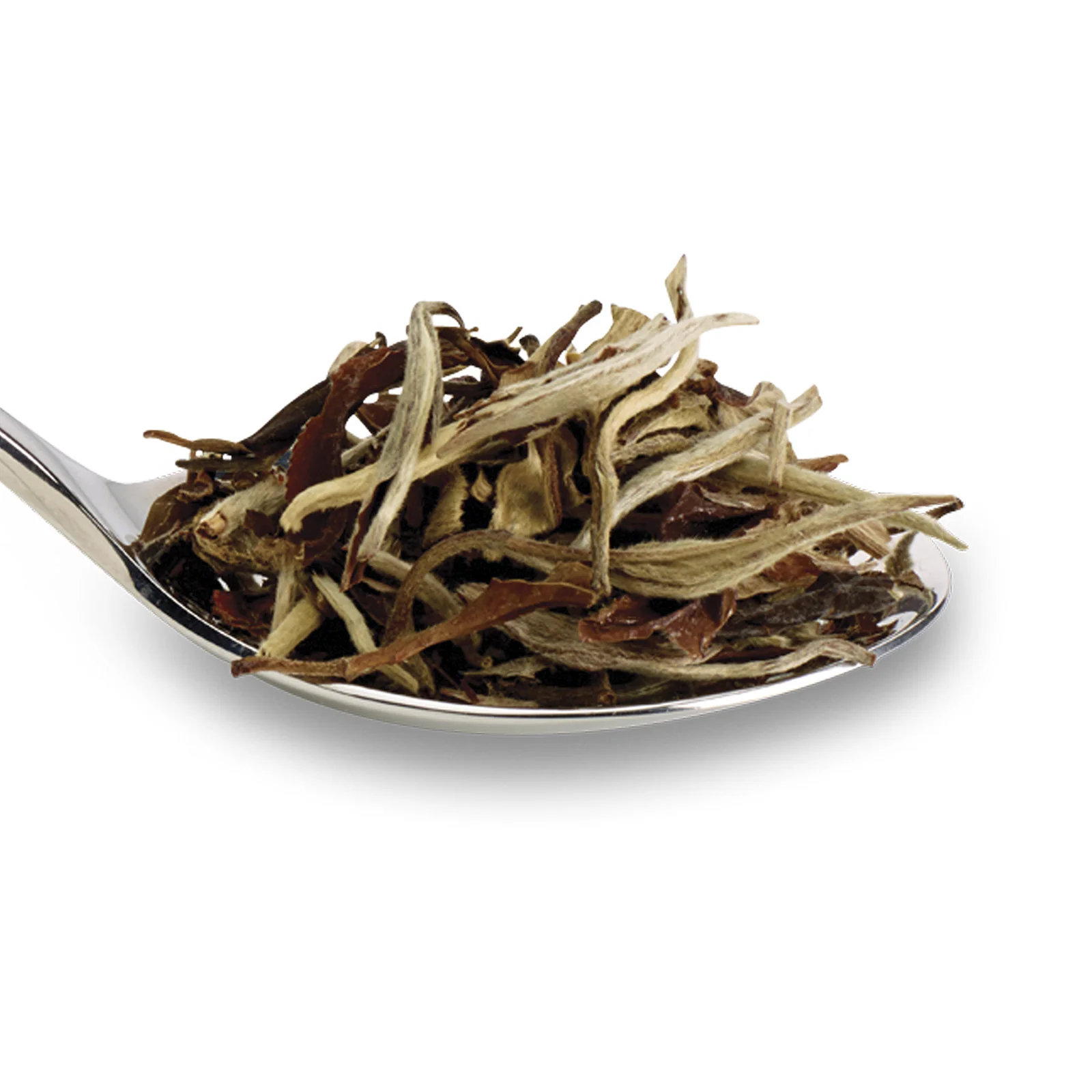 China White - 50g Loose Leaf Tea - Image 7