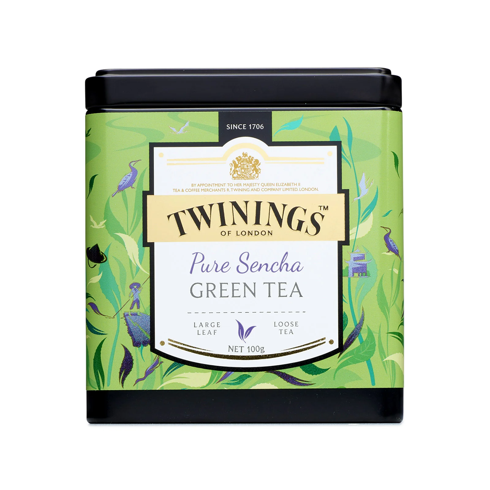 Discovery Collection Pure Sencha Green - 100g Loose Tea - Image 4