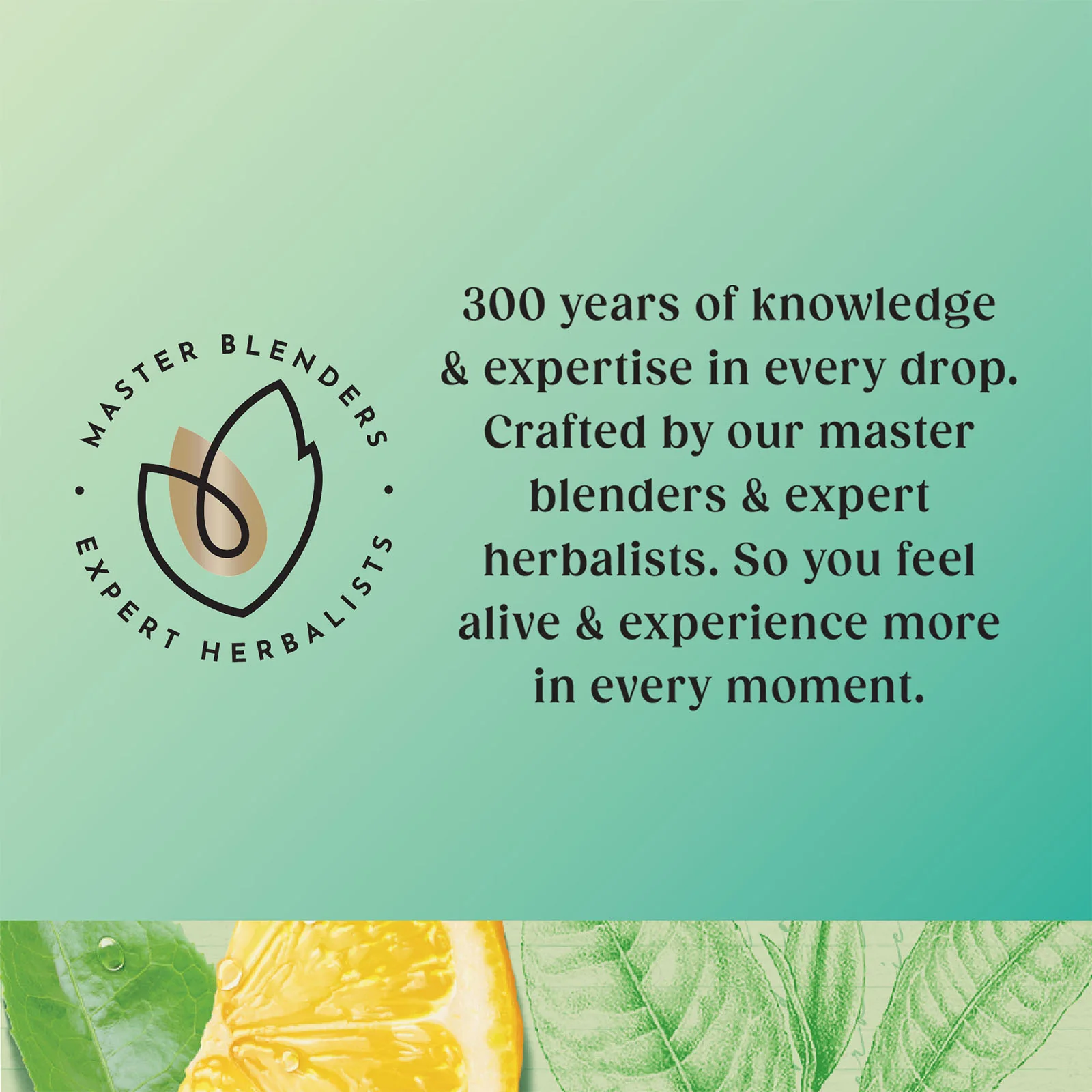 Superblends Cleanse Matcha - 20 Envelopes - Image 3