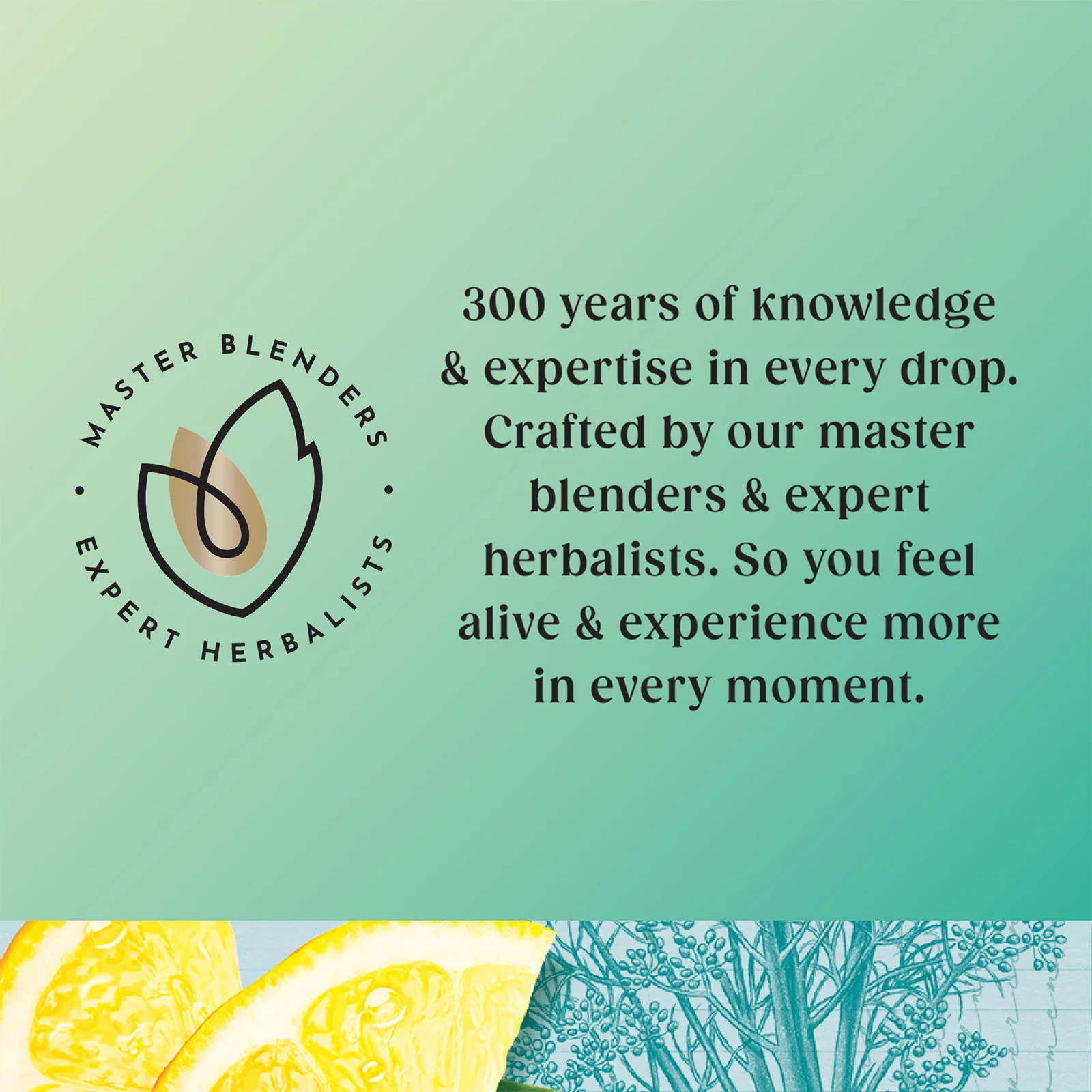 Superblends Detox - 20 Envelopes - Image 5