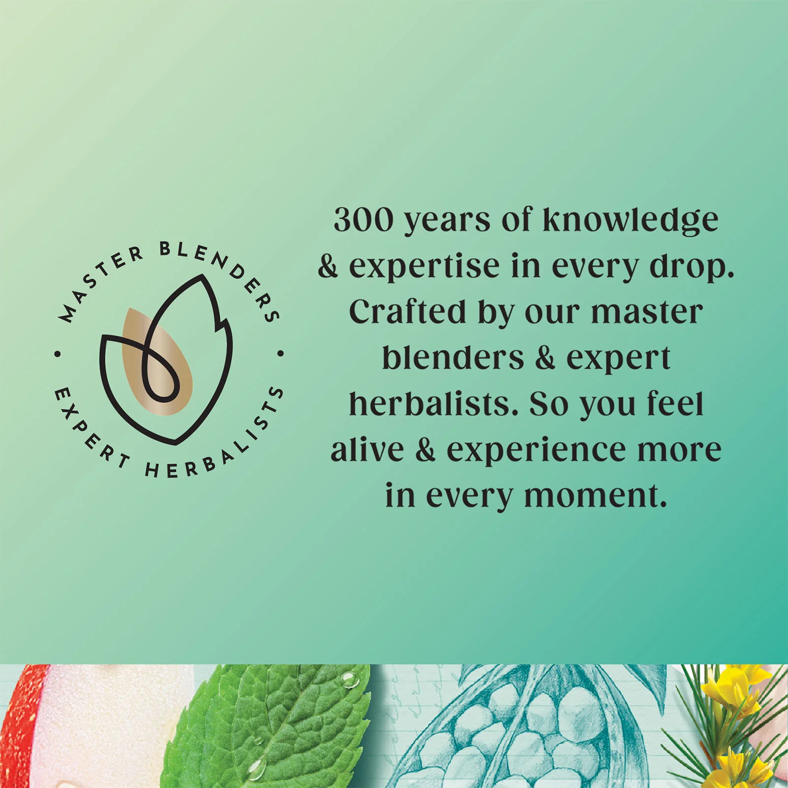 Superblends Digest - 20 Envelopes - Image 5