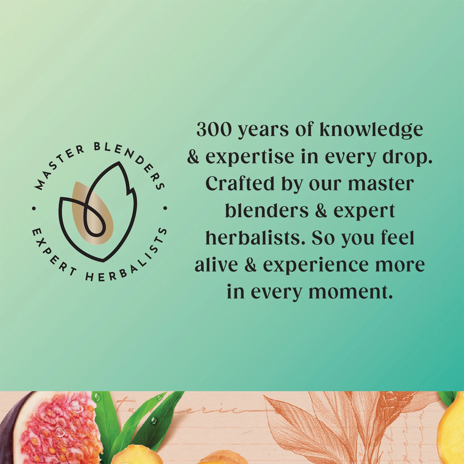 Superblends Digest Ginger & Turmeric - 20 Envelopes - Image 5