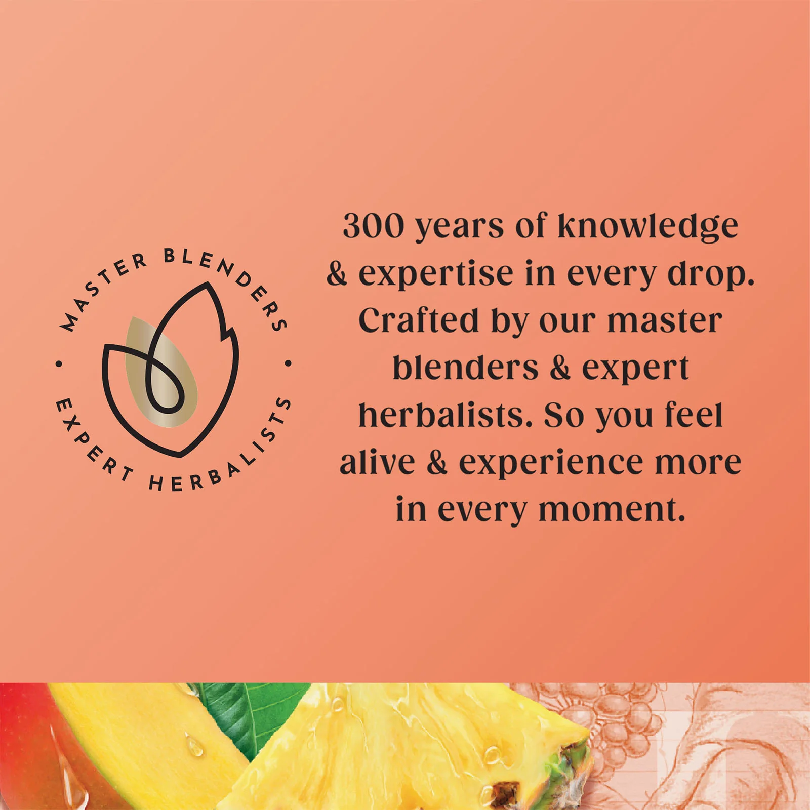 Superblends Focus - 20 Envelopes - Image 5