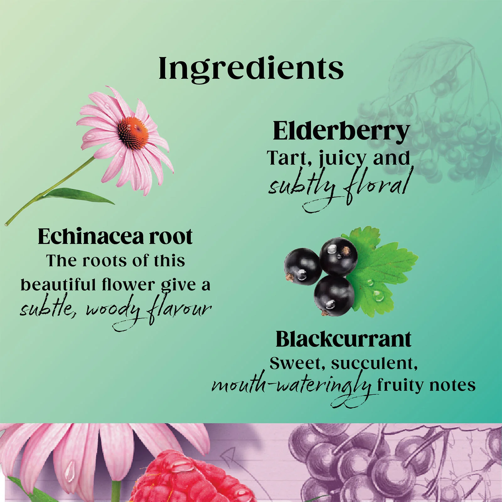 Superblends Immune Support - 4 x 20 Envelopes - Image 3