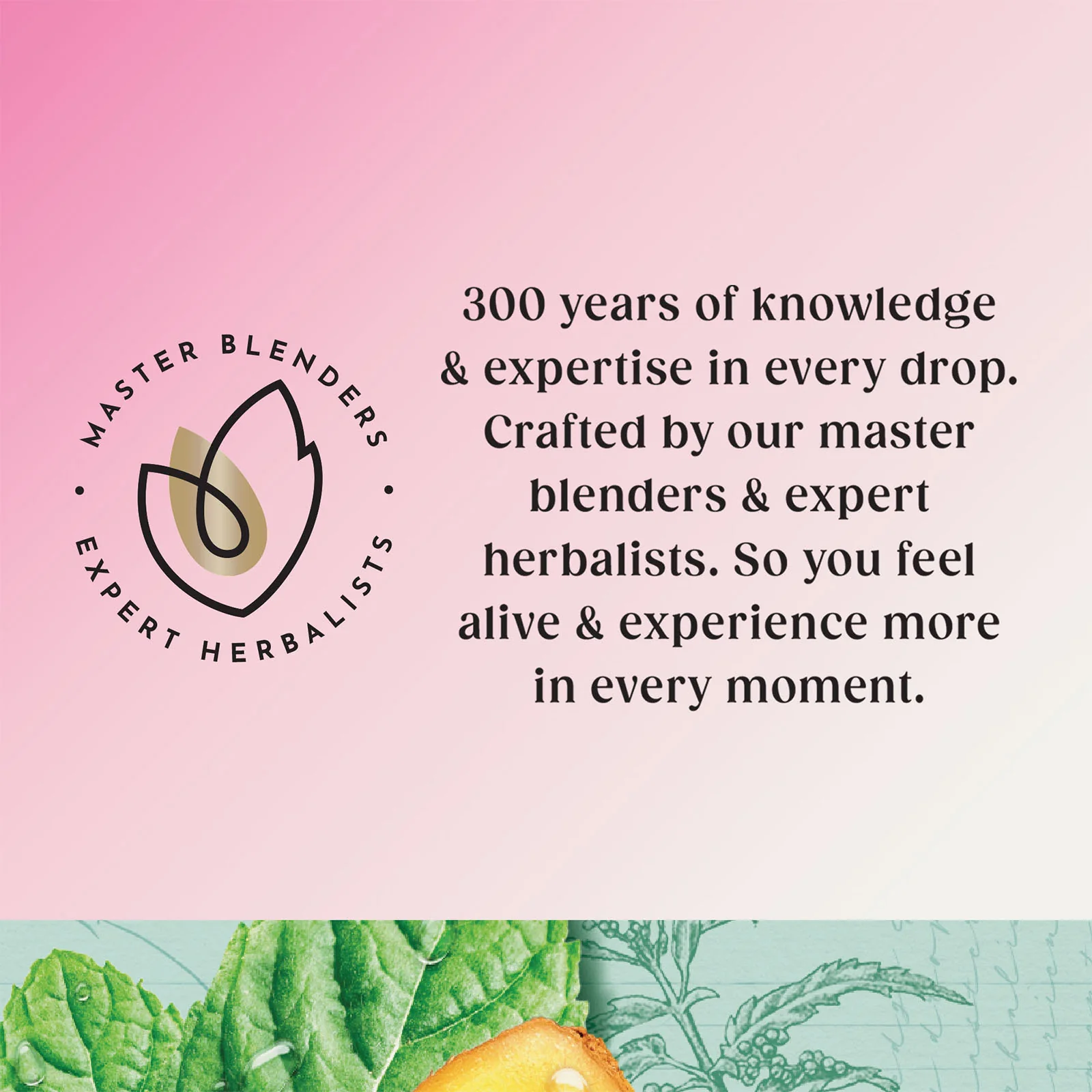 Superblends Metabolism - 20 Envelopes - Image 3