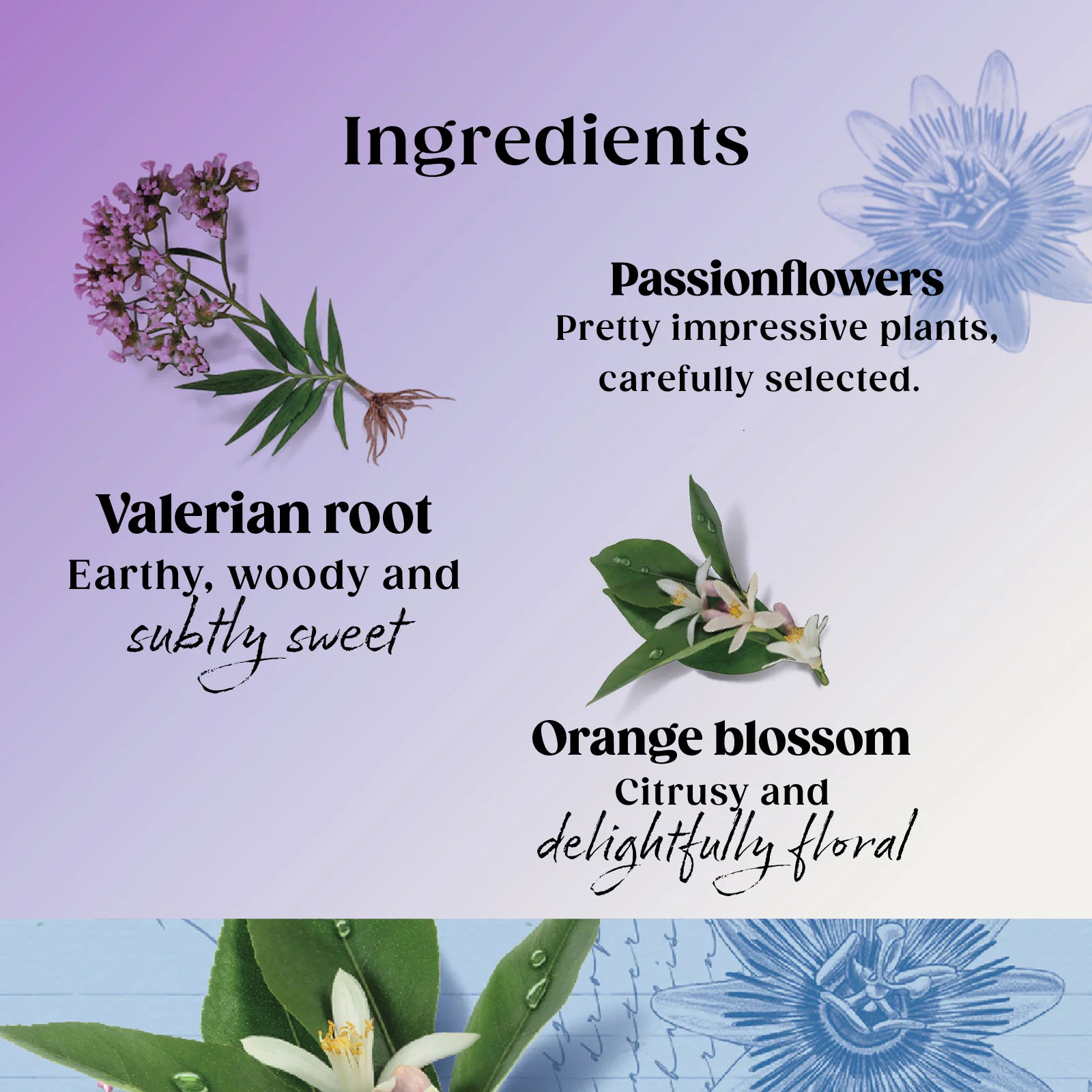 Superblends Sleep Valerian & Orange Blossom - 20 Envelopes - Image 3