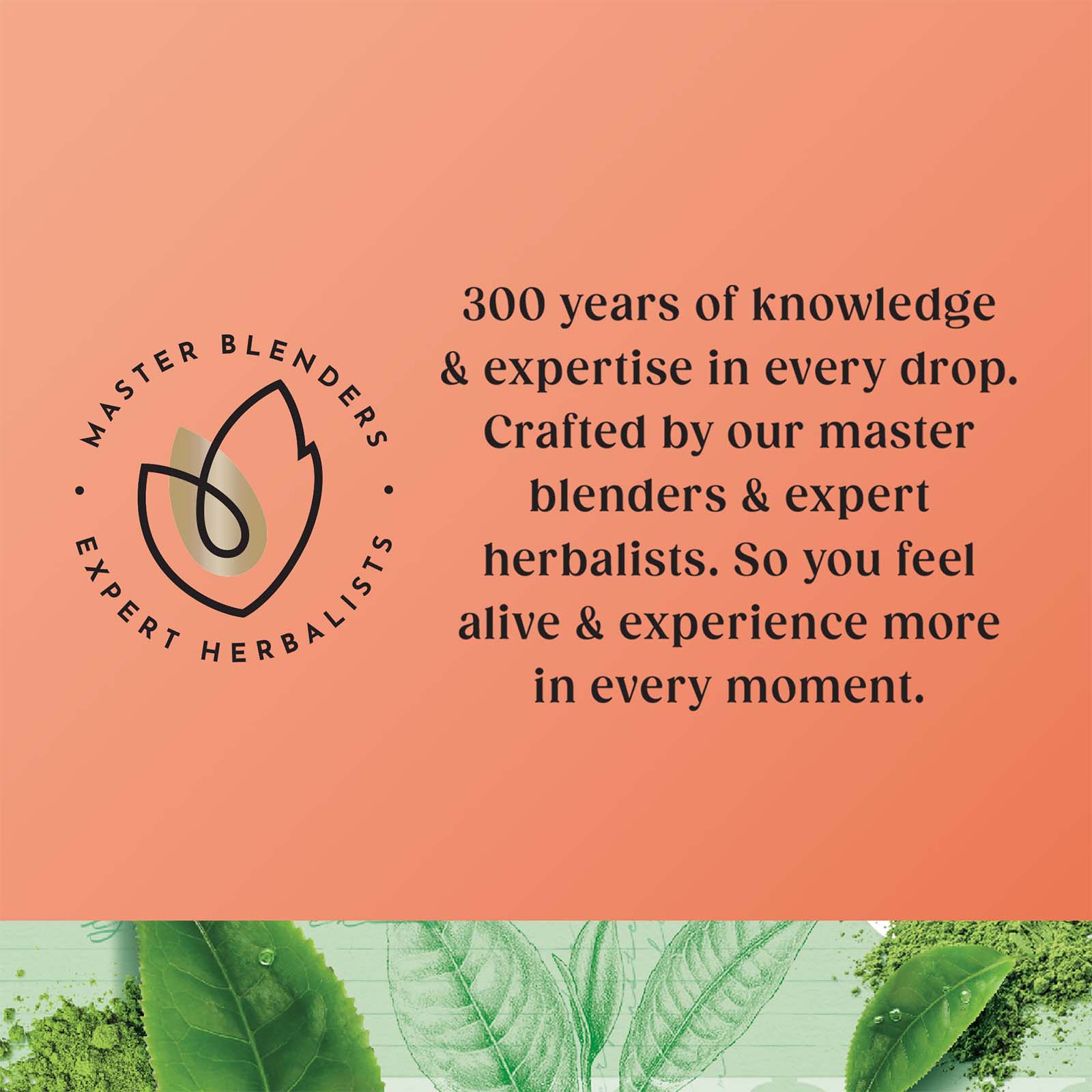 Superblends Super Green Matcha - 20 Envelopes - Image 6