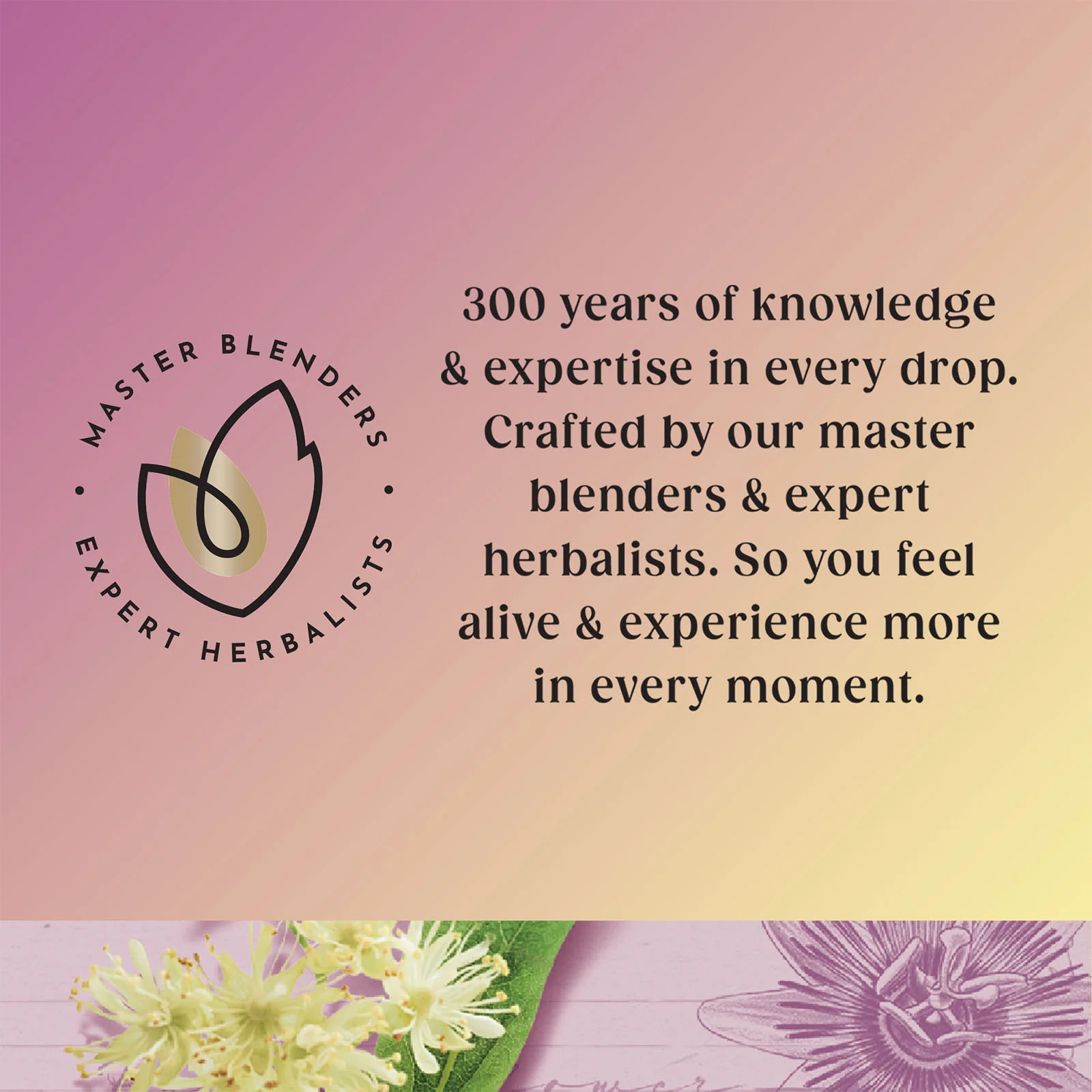 Superblends Turmeric - 20 Envelopes - Image 5