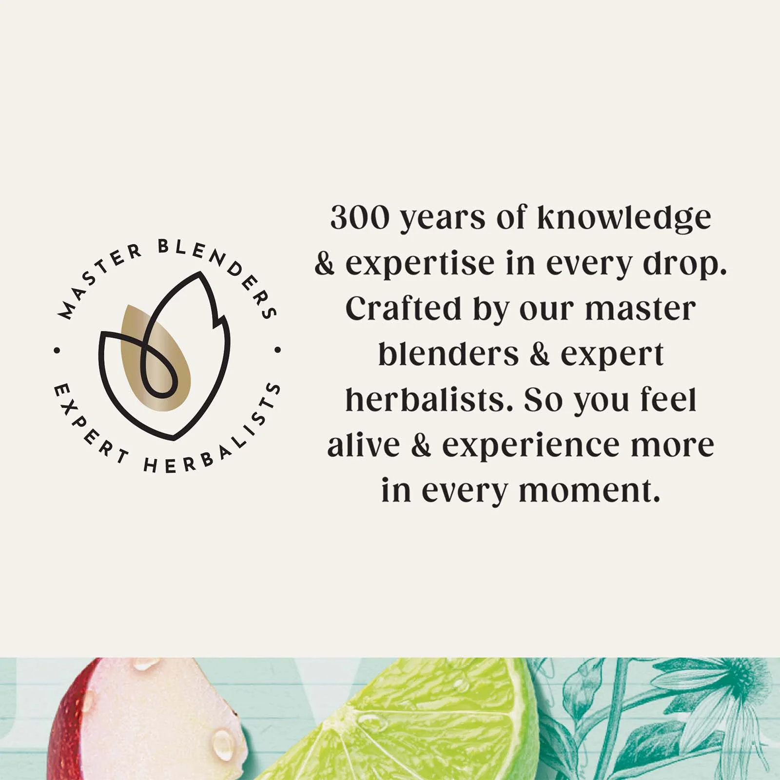 Superblends Wellbeing Collection - 20 Envelopes - Image 3